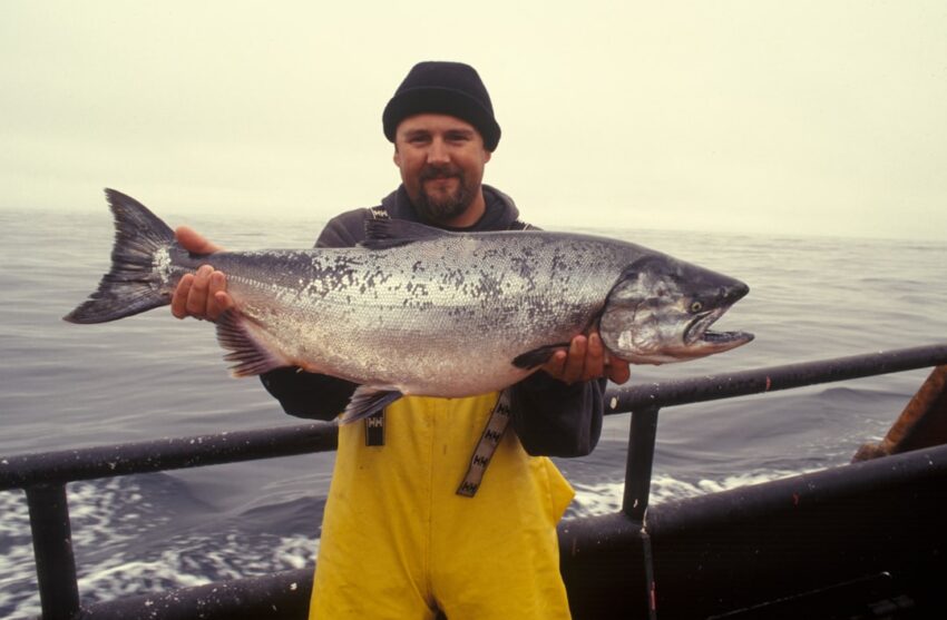 Photo Salmon fillet